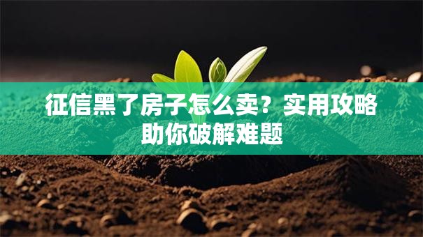 征信黑了房子怎么卖？实用攻略助你破解难题