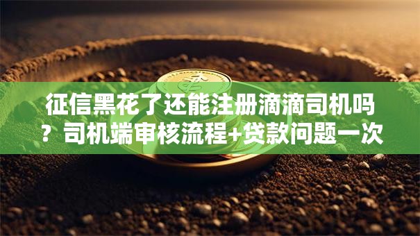 征信黑花了还能注册滴滴司机吗？司机端审核流程+贷款问题一次说清