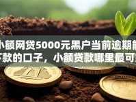 小额网贷5000元黑户当前逾期能下款的口子，小额贷款哪里最可靠的5个平台介绍