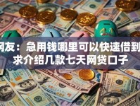 网友：急用钱哪里可以快速借到？求介绍几款七天网贷口子