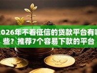 2026年不看征信的贷款平台有哪些？推荐7个容易下款的平台