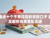 盘点十个不带征信的贷款口子 真实解析资质宽松渠道