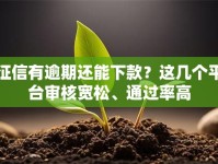 征信有逾期还能下款？这几个平台审核宽松、通过率高