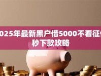 2025年最新黑户借5000不看征信秒下款攻略