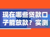 现在哪些贷款口子能放款？实测5个放款中平台+避坑指南