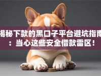 揭秘下款的黑口子平台避坑指南：当心这些安全借款雷区！