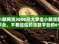 小额网贷3000元大学生小额贷款平台，不看征信的贷款平台的6个平台介绍