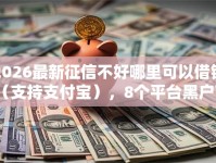 2026最新征信不好哪里可以借钱（支持支付宝），8个平台黑户可以下款的那种无私分享