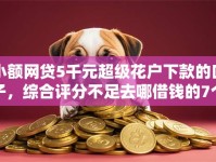 小额网贷5千元超级花户下款的口子，综合评分不足去哪借钱的7个平台介绍