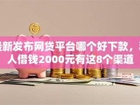 最新发布网贷平台哪个好下款，私人借钱2000元有这8个渠道