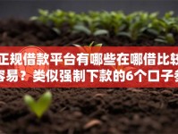 正规借款平台有哪些在哪借比较容易？类似强制下款的6个口子参考