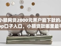 小额网贷2000元黑户能下款的app口子入口，小额贷款哪里最可靠的7个平台介绍