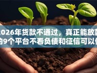 2026年货款不通过，真正能放款的9个平台不看负债和征信可以借到钱推荐