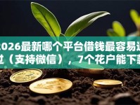 2026最新哪个平台借钱最容易通过（支持微信），7个花户能下款的口子无私分享