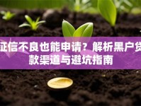 征信不良也能申请？解析黑户贷款渠道与避坑指南