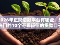 2026年正规借款平台有哪些，超热门的10个不看征信的贷款口子推荐