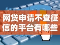 网贷申请不查征信的平台有哪些？这五类渠道你要知道