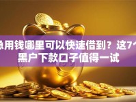 急用钱哪里可以快速借到？这7个黑户下款口子值得一试