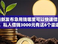 最新发布急用钱哪里可以快速借到，私人借钱3000元有这6个渠道