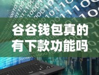 谷谷钱包真的有下款功能吗？真实用户实测结果大揭秘