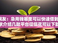 网友：急用钱哪里可以快速借到？求介绍几款平台征信花可以下款