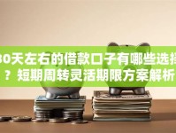 30天左右的借款口子有哪些选择？短期周转灵活期限方案解析