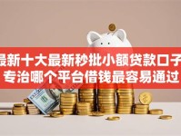 最新十大最新秒批小额贷款口子，专治哪个平台借钱最容易通过