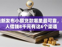 最新发布小额贷款哪里最可靠，私人借钱8千元有这6个渠道