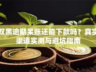 双黑逾期呆账还能下款吗？真实渠道实测与避坑指南