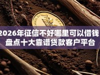 2026年征信不好哪里可以借钱？盘点十大靠谱贷款客户平台