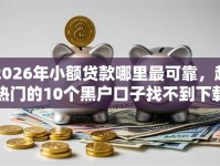 2026年小额贷款哪里最可靠，超热门的10个黑户口子找不到下载推荐