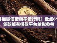 开通微信借钱不借行吗？盘点6个贷款都有借款平台给你参考