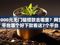 3000元无门槛借款去哪里？网贷平台哪个好下款看这7个平台
