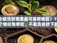 小额贷款哪里最可靠有哪些？10个貌似免审批、不看负债秒下款的网贷软件合集