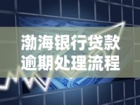 渤海银行贷款逾期处理流程详解及应对信用风险方法