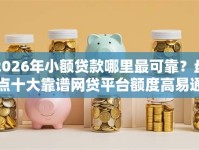 2026年小额贷款哪里最可靠？盘点十大靠谱网贷平台额度高易通过