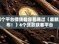 哪个平台借钱最容易通过（最新发布！）6个贷款获客平台