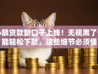 小额贷款新口子上线！无视黑了也能轻松下款，这些细节必须懂