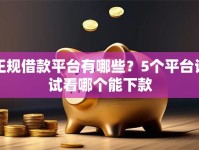 正规借款平台有哪些？5个平台试试看哪个能下款