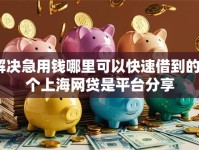 解决急用钱哪里可以快速借到的5个上海网贷是平台分享