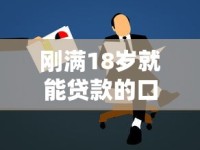 刚满18岁就能贷款的口子有哪些？新人必看申请攻略