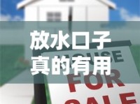 放水口子真的有用吗？揭秘贷款市场的隐性门道
