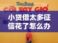 小贷借太多征信花了怎么办？3步自救指南来了