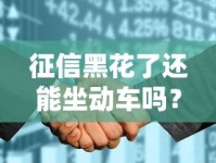 征信黑花了还能坐动车吗？高铁出行规定和贷款影响全解析