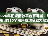 2026年正规借款平台有哪些，超热门的10个黑户成功获取大额贷款的口子推荐