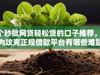 5个秒批网贷轻松贷的口子推荐，专为攻克正规借款平台有哪些难题