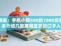 网友：手机小额500到1000贷款？求介绍几款黑魔盒贷款口子入口2025