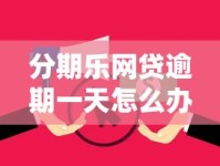 分期乐网贷逾期一天怎么办？后果严重吗？补救方法全解析！