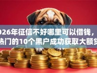 2026年征信不好哪里可以借钱，超热门的10个黑户成功获取大额贷款的app推荐