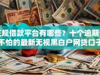 正规借款平台有哪些？十个逾期也不怕的最新无视黑白户网贷口子